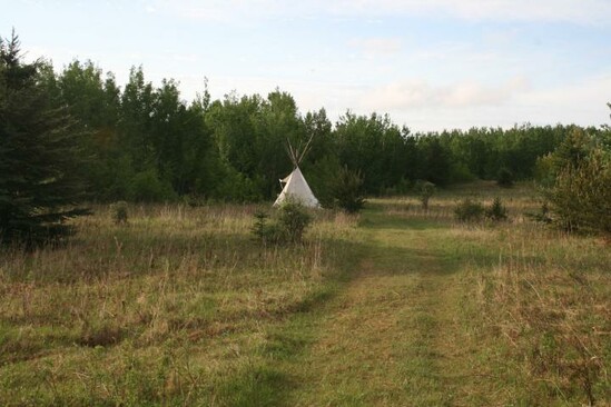 tipi